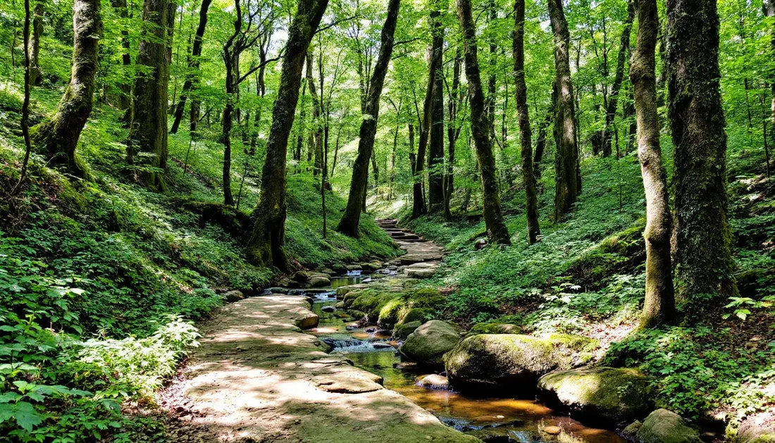 Top Outdoor Adventures in the Ozark Mountains - The Woodland Retreat