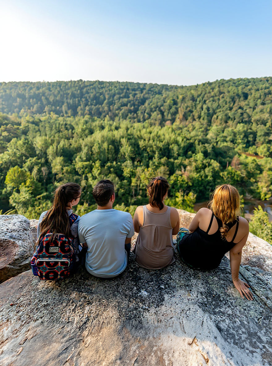Four people sitting on a rocky outcrop overlooking a forested valley on the Ozark Montains